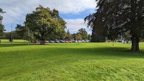 A grassy field with trees and parked cars.