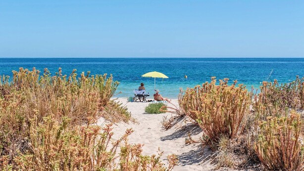 A beach with two people under a yellow umbrella, surrounded by dry vegetation. - By the Sea at Cape View Resort (Broadwater)