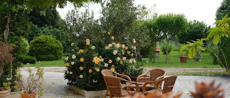 Terrass/Patio