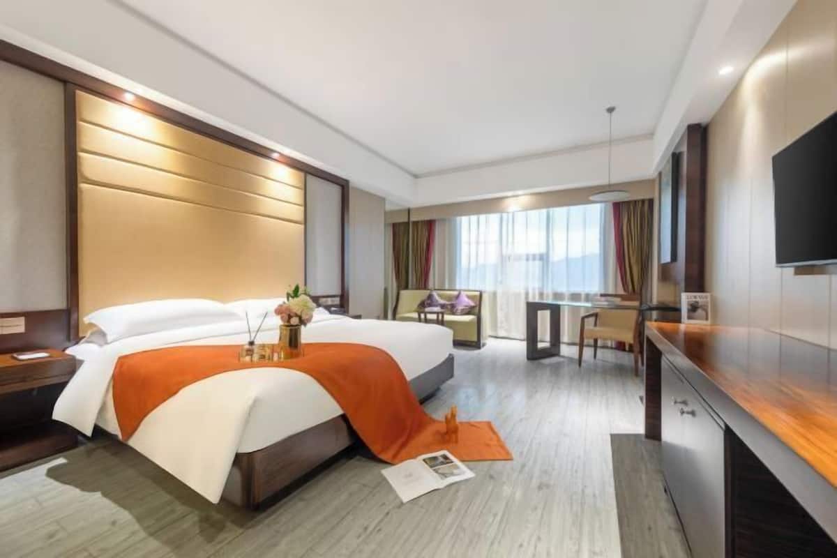 A hotel room with a large bed, a desk, a TV, and a view of the city.