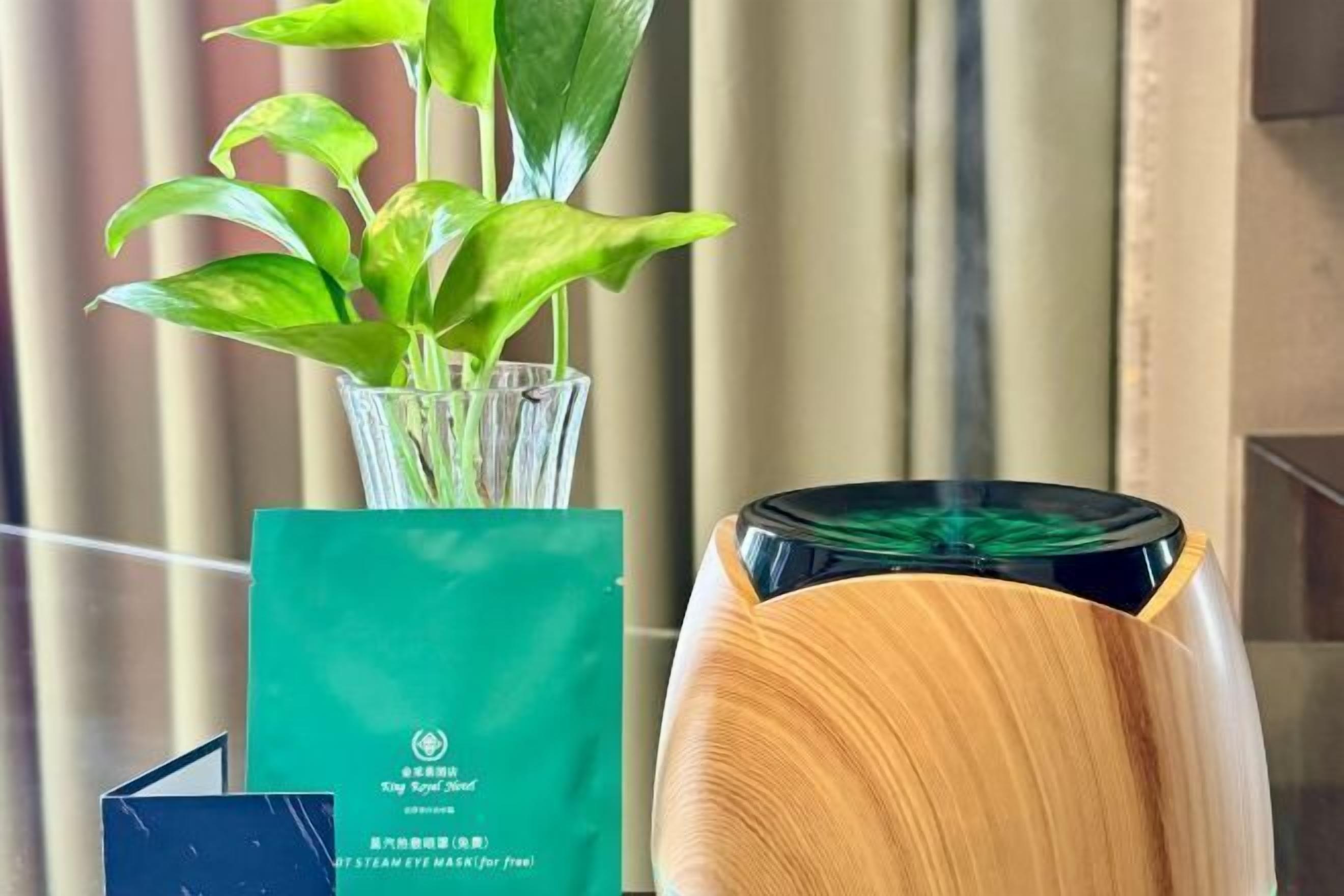 Uma planta em vaso, um livreto verde e um alto-falante de madeira.