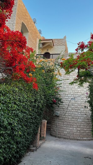 A courtyard with a stone wall, a small brick structure, and red flowering plants.