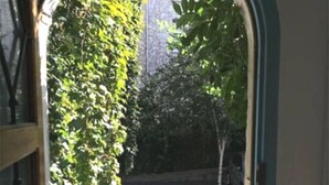 An open doorway leading to a courtyard with a green chair and a tree. - Maison calme en plein centre 2 chambres 90m2, Wifi (Clermont-Ferrand)