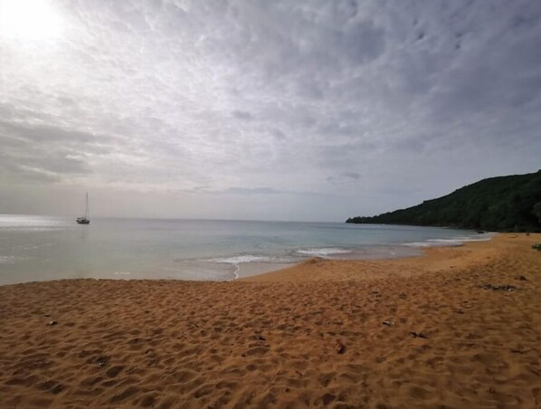Enjoy a serene beach experience with gentle waves and a sailboat in the distance.