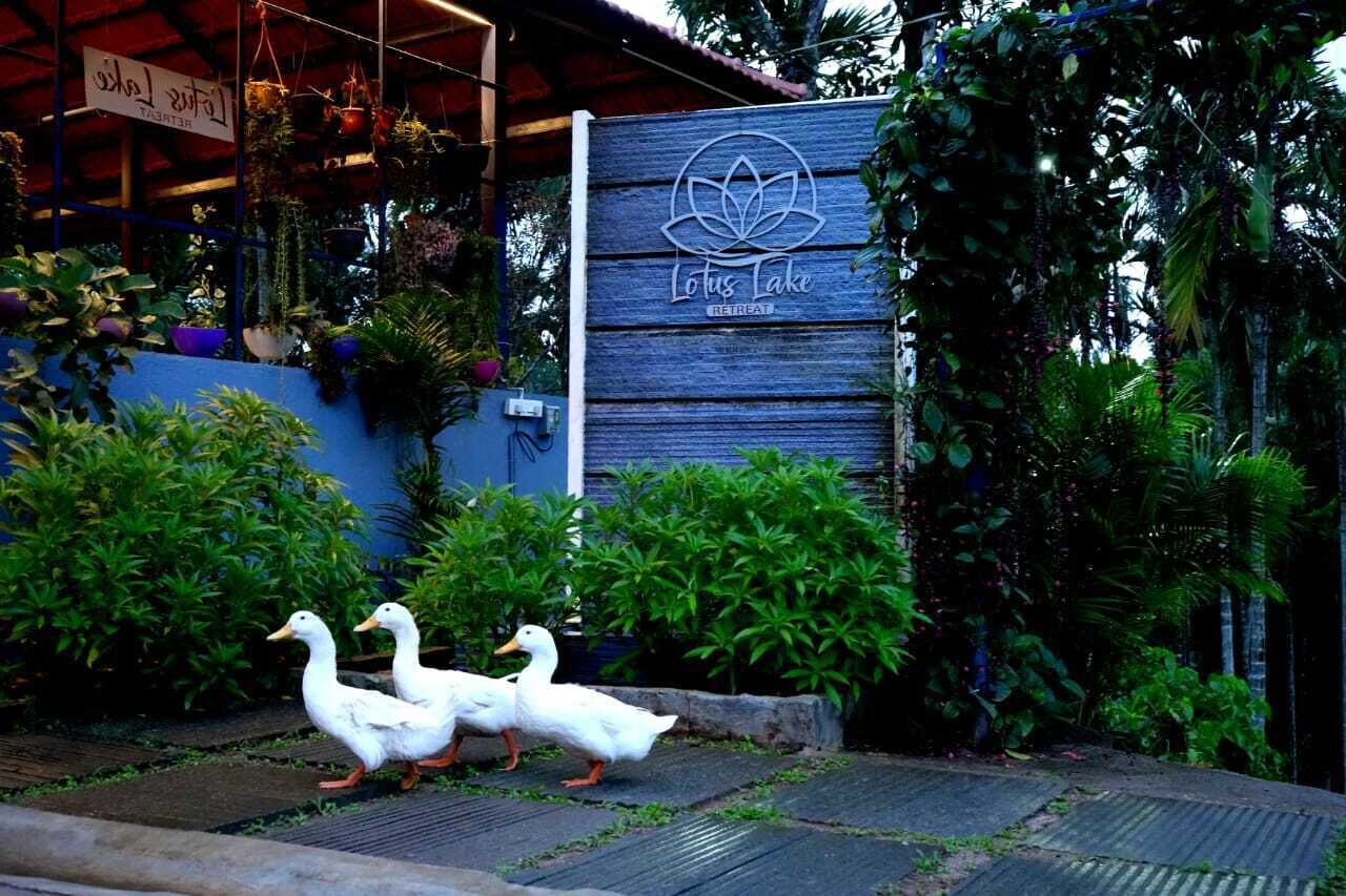 تفاصيل الفندق من الخارج