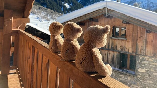 A wooden cabin with a balcony, wooden railing, and a view of snow-covered mountains. - Balcony, fireplace or stove, tv, 88m², Pralognan-la-Vanoise (Pralognan-la-Vanoise)