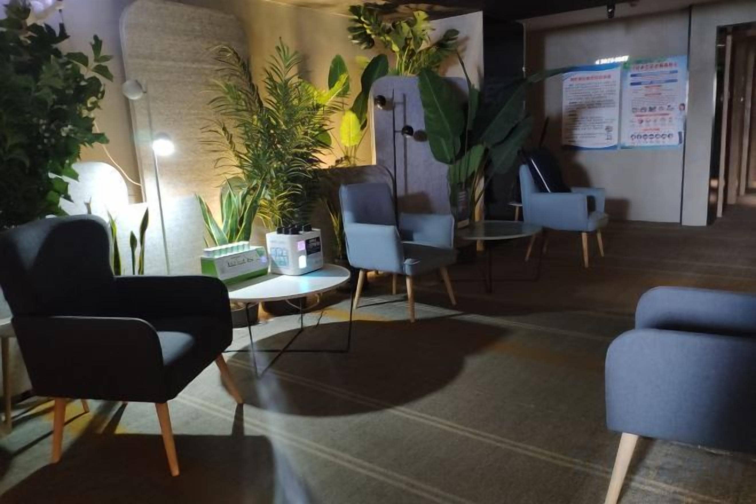 A seating area with modern chairs and a table, surrounded by potted plants and a lamp.