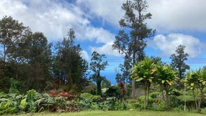 A lush garden with various tropical plants and trees, a well-maintained lawn, and a clear sky.