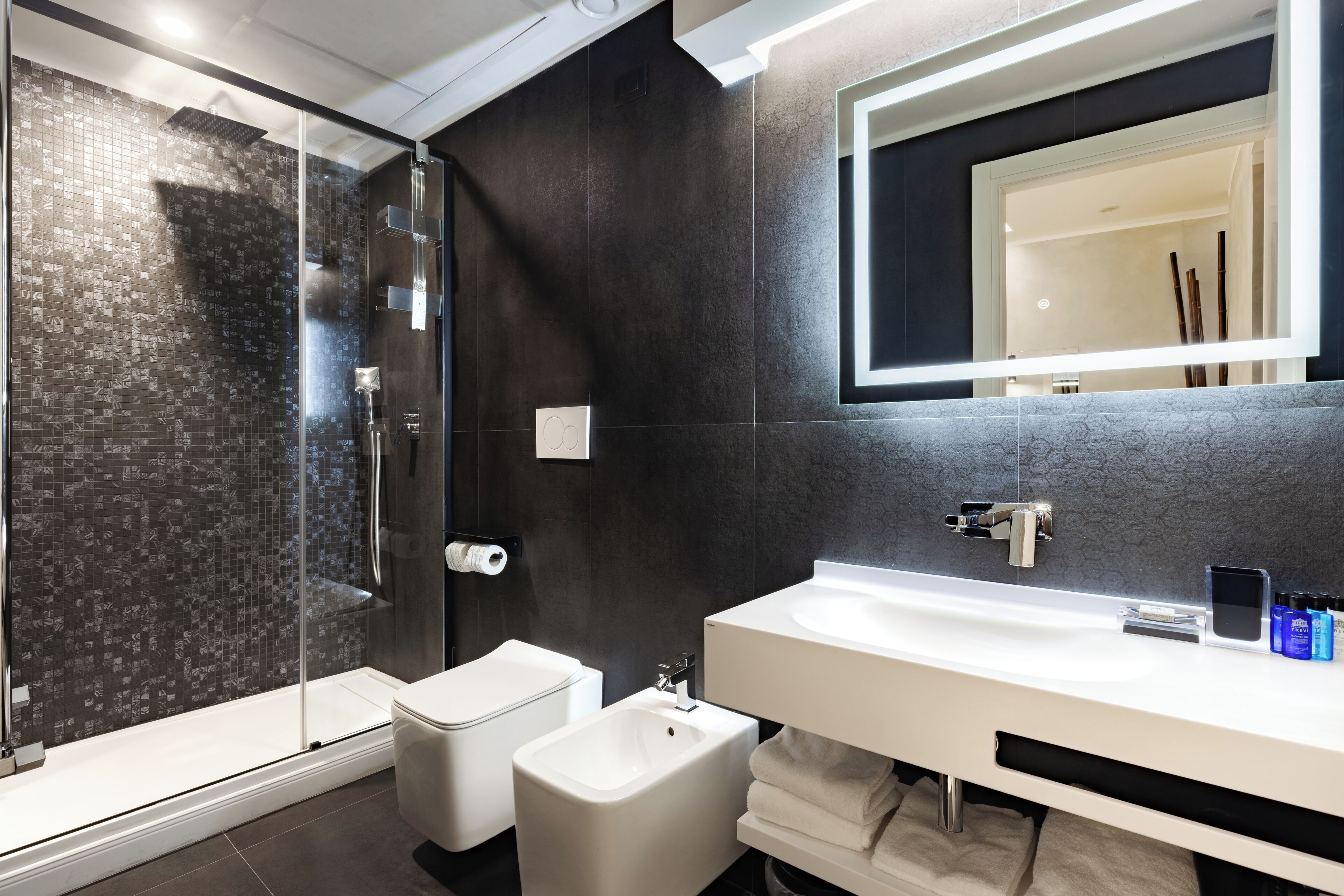Une salle de bain moderne avec une douche à parois de verre, un bidet blanc, un grand miroir et un lavabo blanc agrémenté d’articles de toilette.
