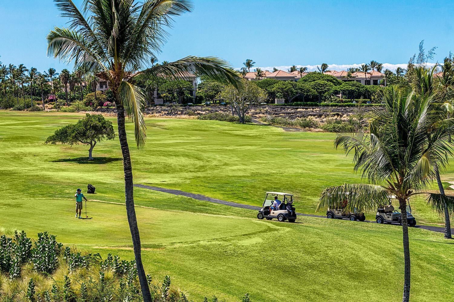 Campo de golf con un sendero despejado, palmeras y un complejo de edificios a lo lejos.