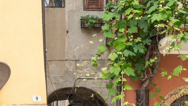 A narrow alleyway with a yellow building on the left, a brown building on the right, and a metal gate in the center. - Angelina s House in Iseo (Iseo)