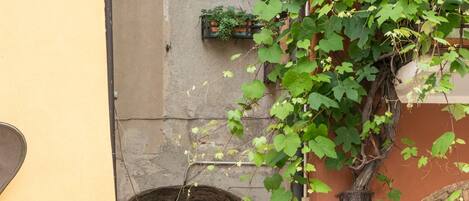 Apartment | 2 Schlafzimmer