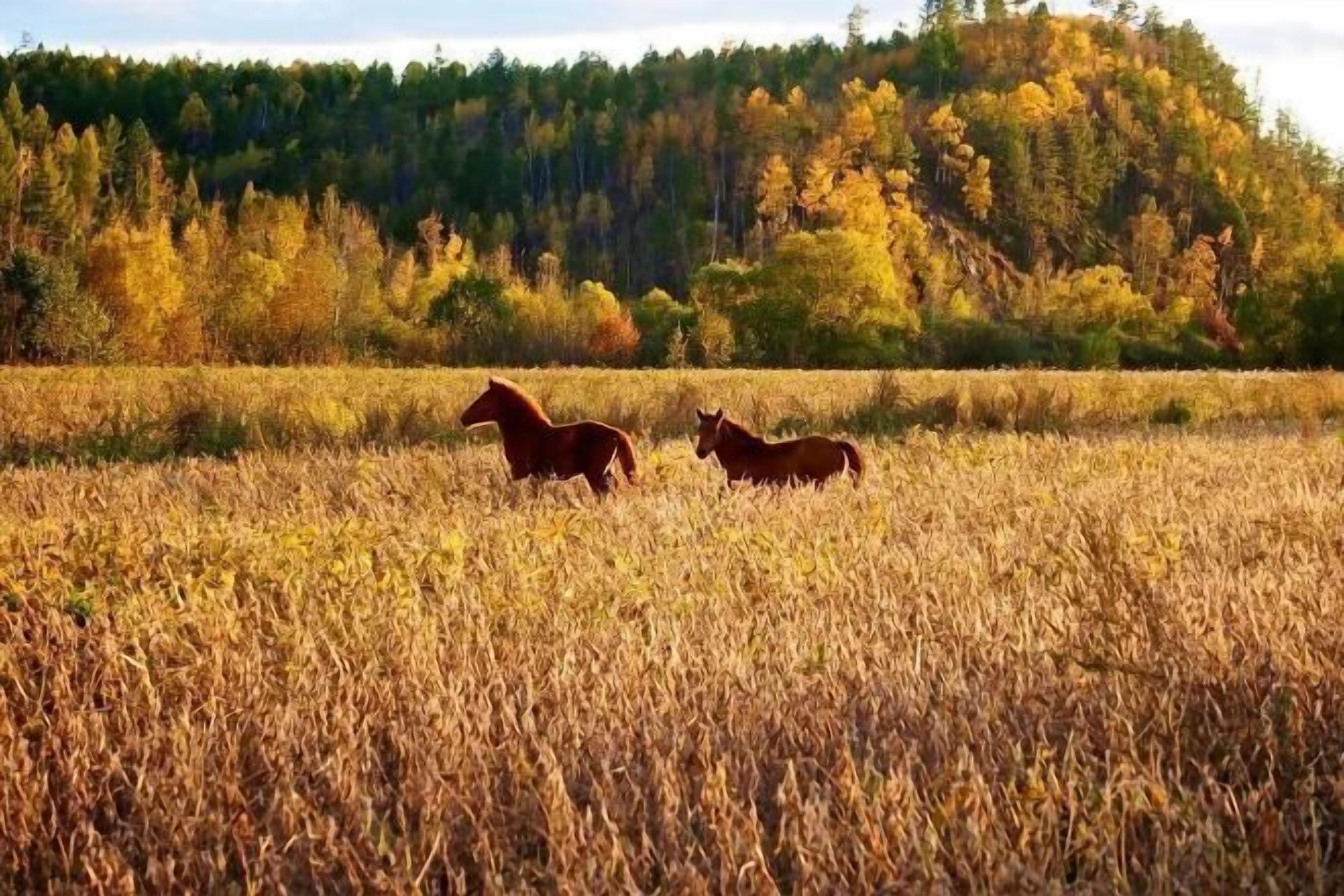 الإطلالة من المنشأة