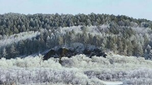 A forested landscape with a snow-covered hill and a rocky outcrop. - Mohe Yujia Inn (Mohe)