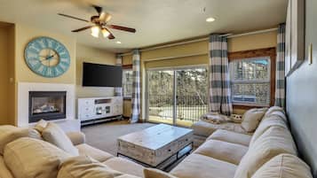 Smart TV, fireplace, DVD player, books