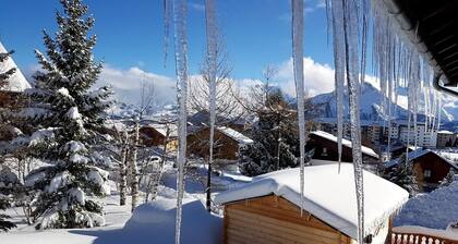 Ground floor studio 24m² - Chalet - Up to 4 people - Very close to the slopes