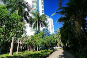 A pathway lined with palm trees leading to a multi-story building.