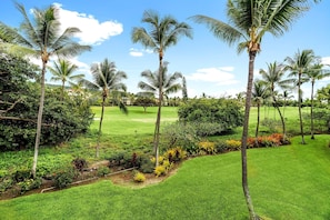Condo, Plusieurs lits (Keauhou Kona Surf & Racquet Club#7-30) | Terrain de l’hébergement 