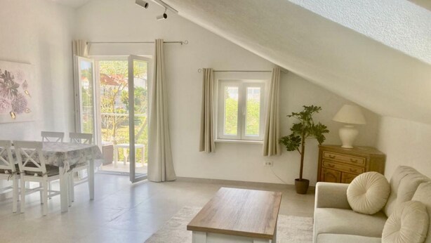 Amplia sala de estar con una mesa de comedor, sofá y una planta en maceta.