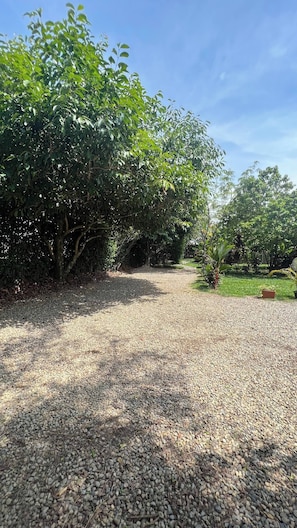Ein Kiesweg schlängelt sich durch einen Garten mit Bäumen und viel Grün.