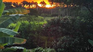 A sunset over a lush garden with various plants and a clear sky. - Luxury Glamping in Ruztico (Villavicencio)