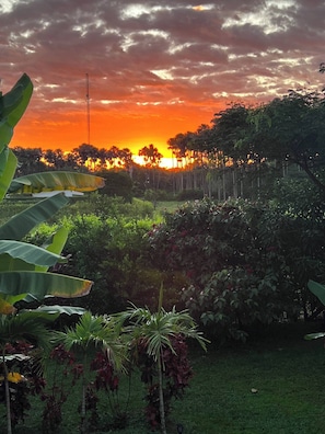 A sunset over a lush garden with various plants and a clear sky. - Luxury Glamping in Ruztico (Villavicencio)