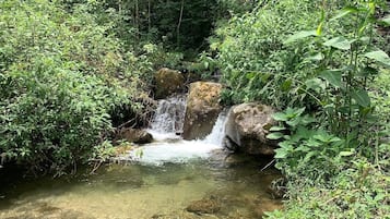 Área da propriedade