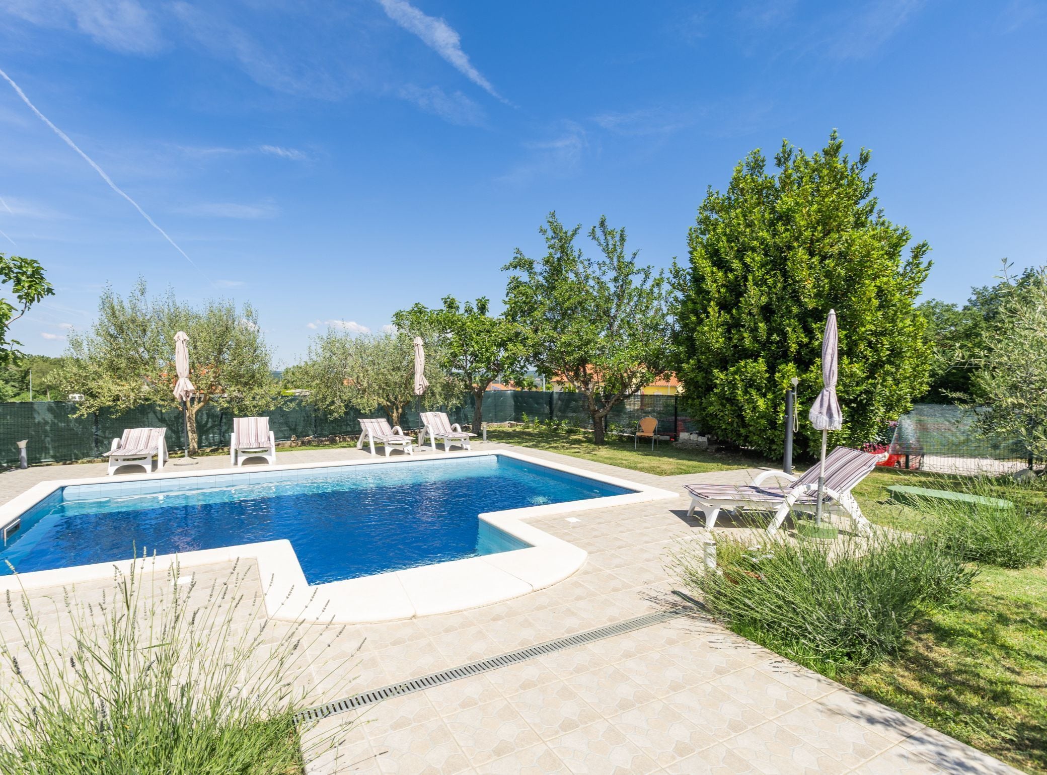 Villa (Villa SABINA - Breg Ivanovci - Three ) | Pool