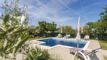 A rectangular swimming pool with lounge chairs and umbrellas, surrounded by greenery and a clear sky.