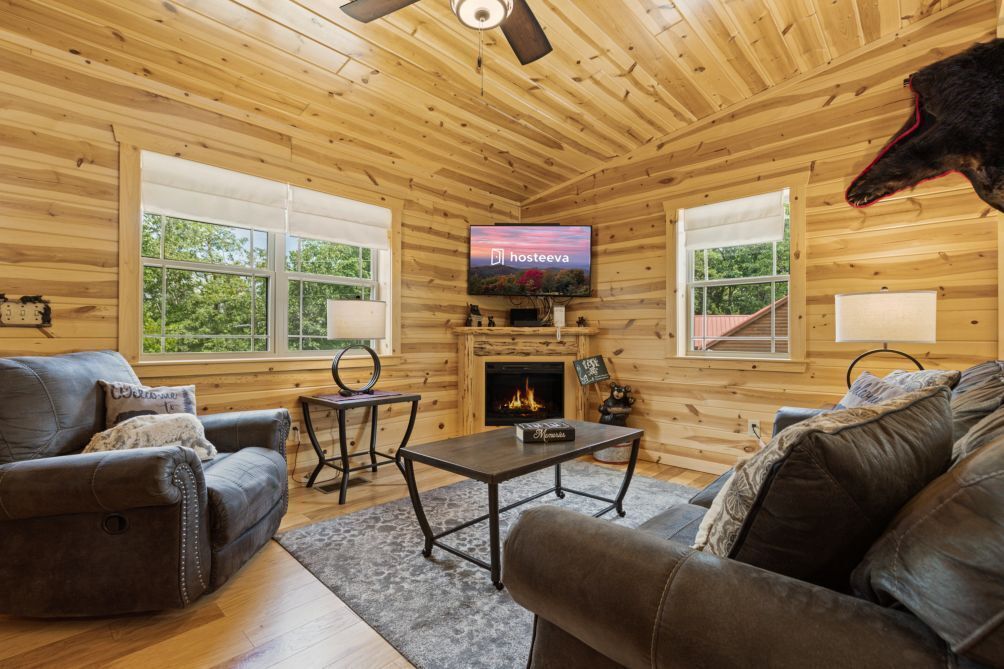 TV, fireplace, video games