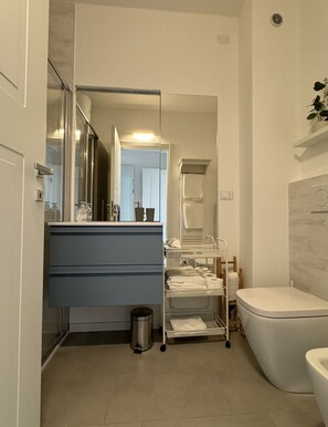 Douche, séchoir à cheveux, bidet, serviettes fournies