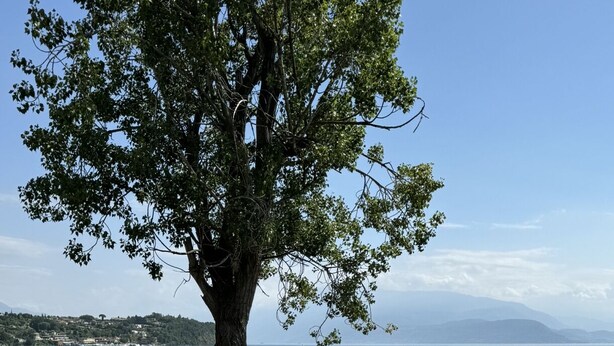 A tree-lined lakeside view with a stone pathway leading to a seating area. - Stupenda Vista Lago, Appartamento con Piscina (Solarolo)