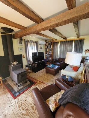 Smart TV, fireplace, DVD player, books