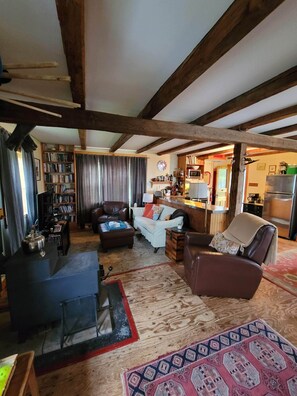 Smart TV, fireplace, DVD player, books