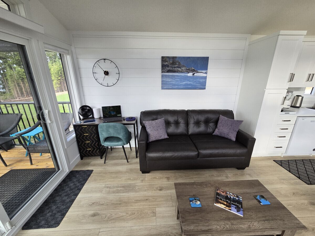 Älytelevisio, kirjoja