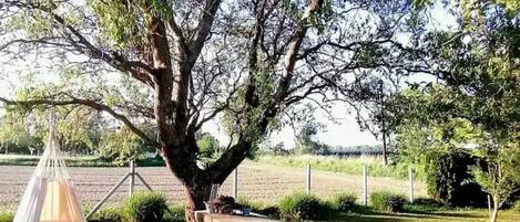 House (Drava Life - Two Bedroom Holiday Home) | Exterior