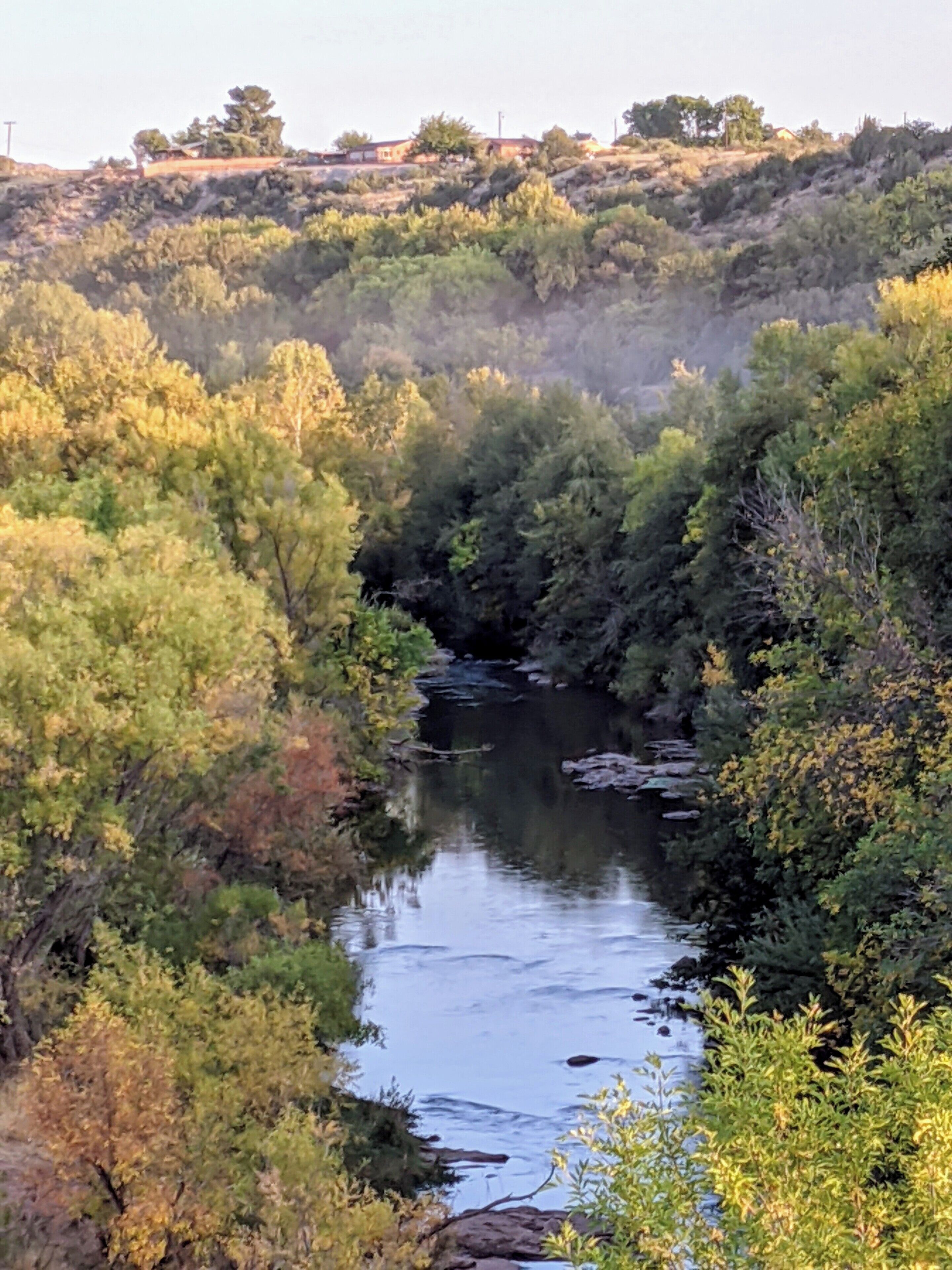 A river flowing through a forested area with dense vegetation on both sides.