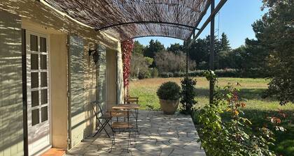 Villa Lou Cabanoun in EygaliĂšres with view of the Alpilles mountains