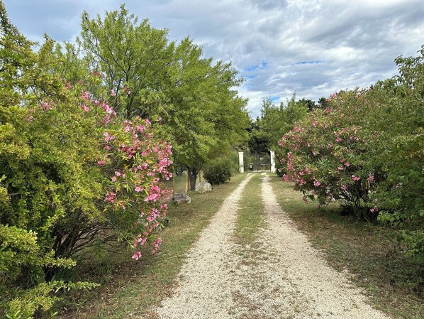 Property grounds - Villa Lou Cabanoun in Eygalières with view of the Alpilles mountains (Eygalières)