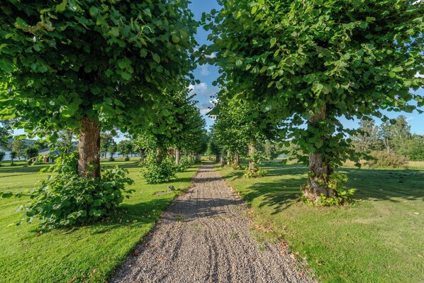 A gravel path flanked by trees in a park setting.