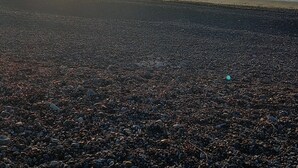 Ranta, jossa on pieniä kiviä, ja auringonlasku veden yllä.