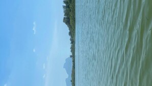 Varie