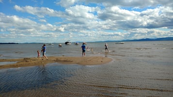 Playa en los alrededores y camastros
