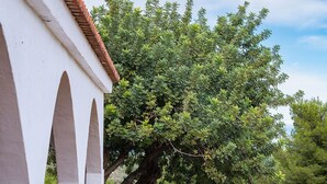 Un sentiero conduce a un edificio bianco con archi, immerso nel verde e fioriture gialle.