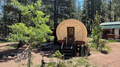 Experience the Wild West in Luxury!