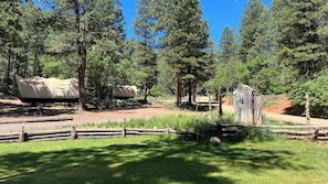 Immagine non classificata, 4 di 12, pulsante