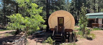 Experience the Wild West in Luxury!