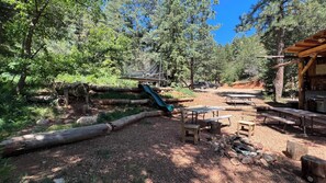 Immagine non classificata, 5 di 12, pulsante