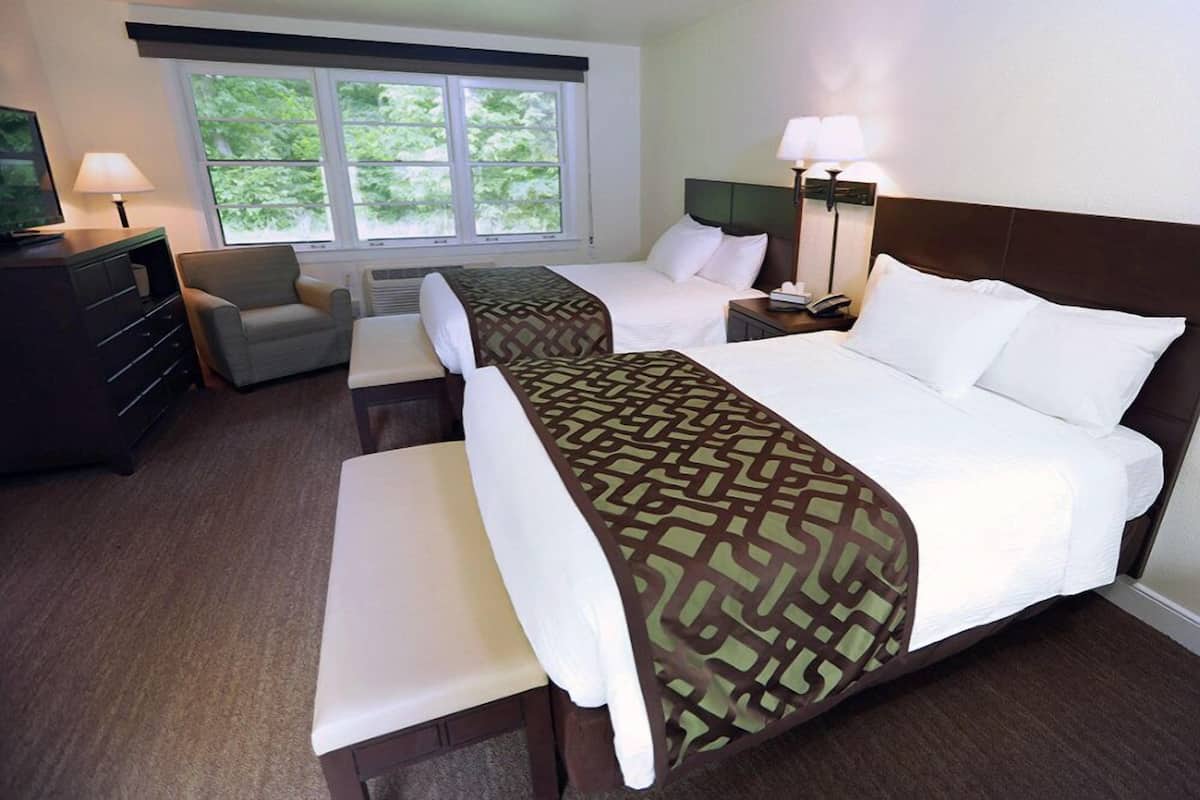 Une chambre d’hôtel avec deux lits, un bureau, une chaise, une télévision et une fenêtre donnant sur des arbres.