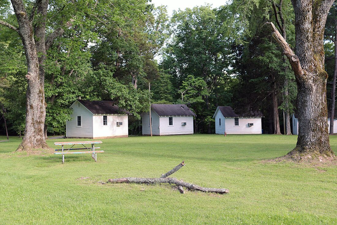 Um parque de campismo com três pequenas cabanas, uma mesa de piquenique e uma grande árvore em primeiro plano.